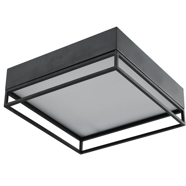 Ceiling Mount Efficient Lighting offers wide selection of ENERGY STAR